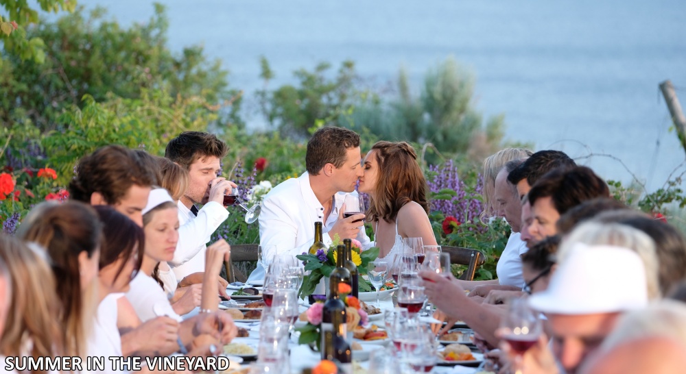 Highschool Sweethearts - Summer in the Vineyard