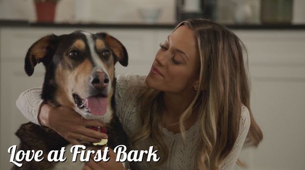 Vier dierendag met WithLove! - Love at First Bark