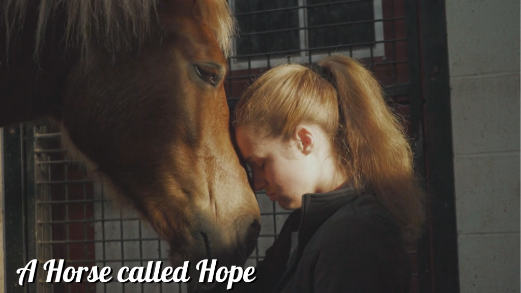 5 films en series om te kijken terwijl je op Heartland wacht - A horse called hope