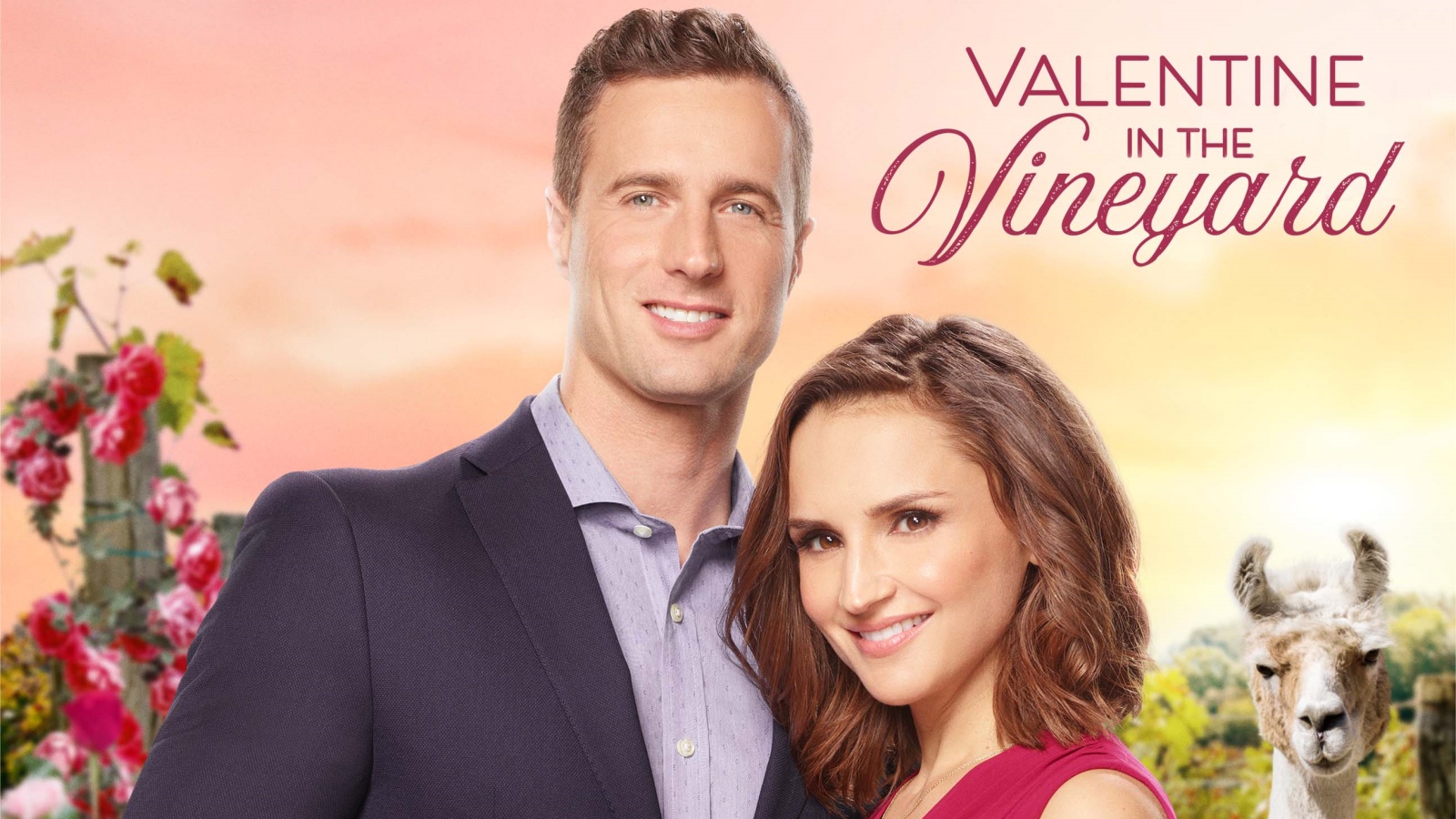 Met wie vier jij Valentijnsdag - Valentine in the Vineyard